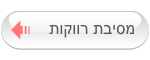 מסיבת רווקות